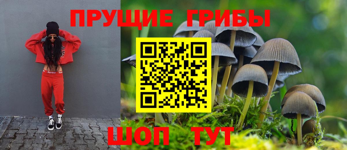 Псилоцибиновые грибы мухоморы  Новомосковск 